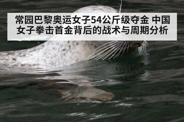 常园巴黎奥运女子54公斤级夺金 中国女子拳击首金背后的战术与周期分析